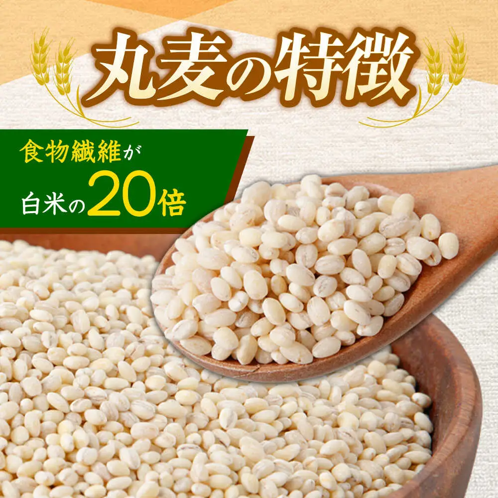 もち麦よりも『ぷりっ』とした弾力 【2回定期便】長崎県産 丸麦 5kg / 麦 むぎ 雑穀 雑穀米 麦ごはん 麦飯 麦みそ 食物繊維 / 諫早市 / 有限会社伊東精麦 [AHBU013]