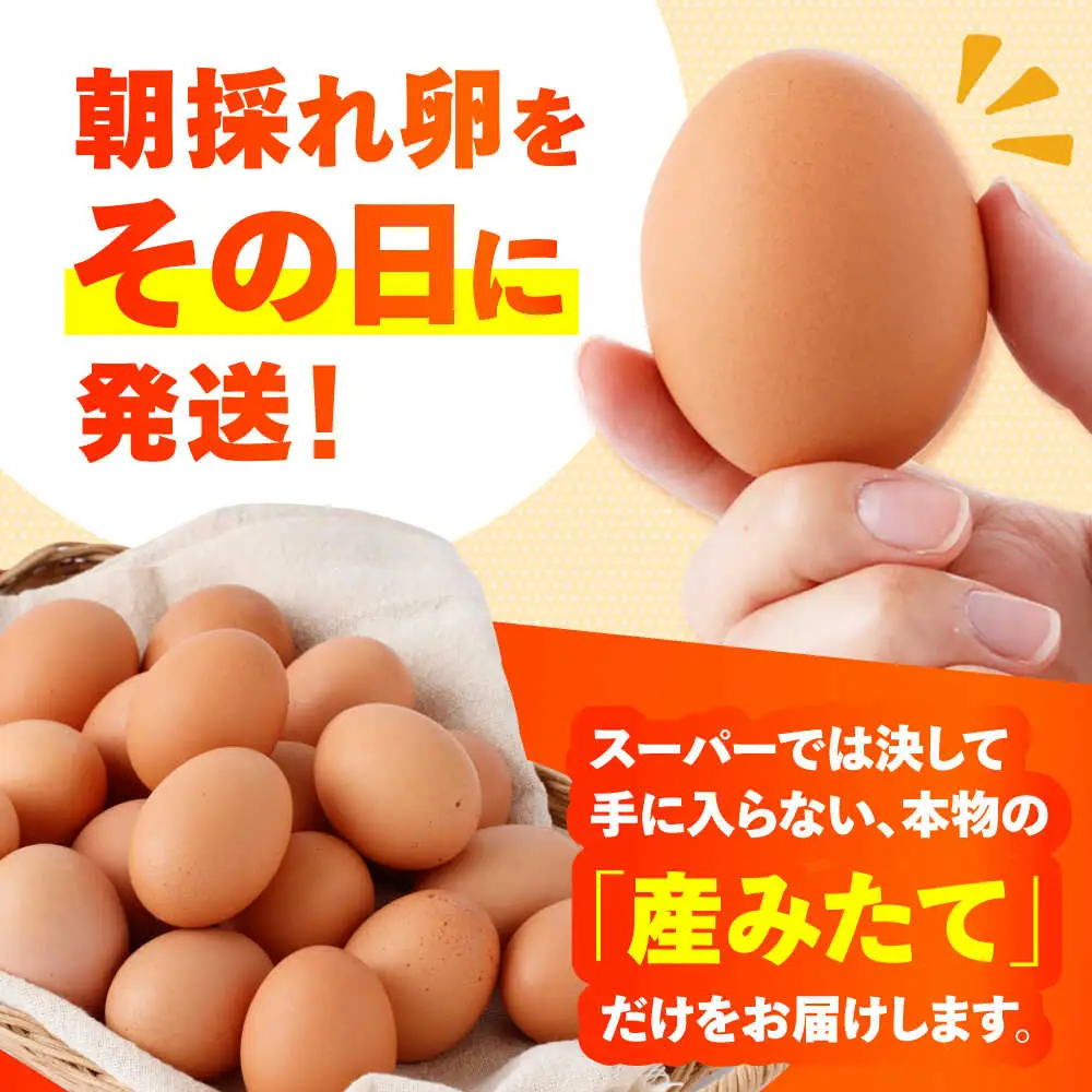 〈数量限定〉【朝採れ直送】小峰鶏園 赤たまご Lサイズ 60個 / 卵 玉子 たまご 卵焼き 玉子焼き 生卵 鶏卵 卵かけごはん / 諫早市 / 小峰鶏園 [AHFB001]