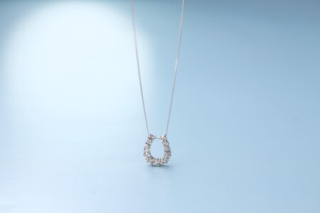 プラチナダイヤモンドネックレス 馬蹄デザイン Dia0.363ct / 幸せの輝きPt900 上品な高級感 / PT900-N007D