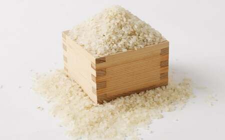 津留いちご園のお米 7分づき  農薬・化学肥料不使用（栽培期間中） 5kg 【2025年11月上旬から2026年10月下旬順次発送予定】 米 お米 ご飯 九州 福岡