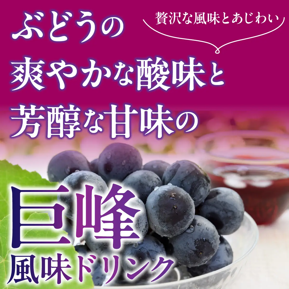 メトロ　巨峰風味50 ALPFC004　| ドリンク　ぶどう 