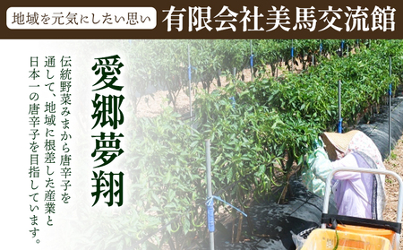 【先行予約】激辛薬味みまから一味 セット 計6個セット 