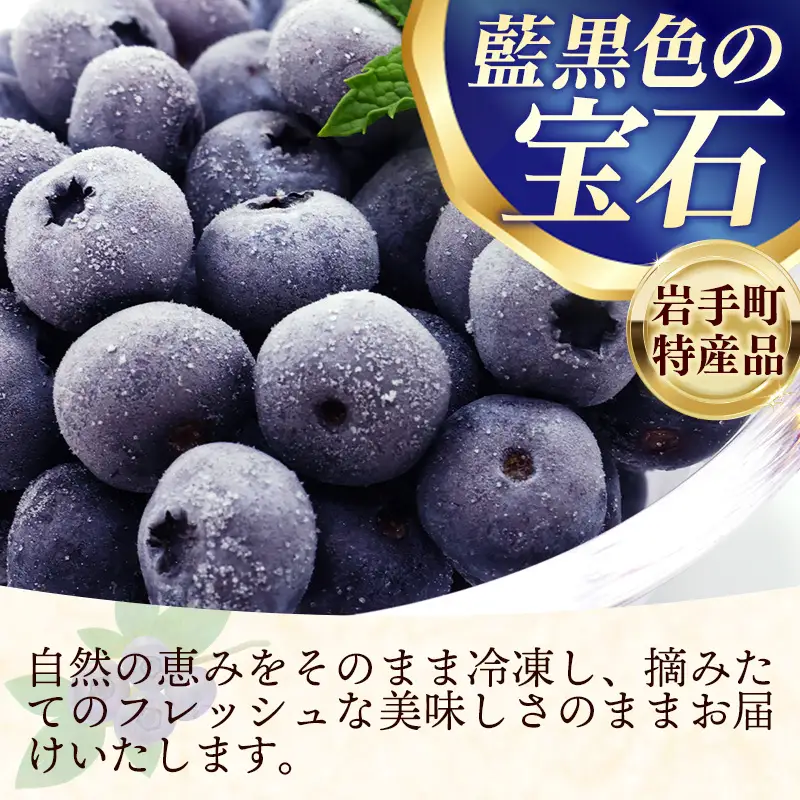 ブルーベリー 訳あり 冷凍 1㎏ フルーツ ベリー 果物