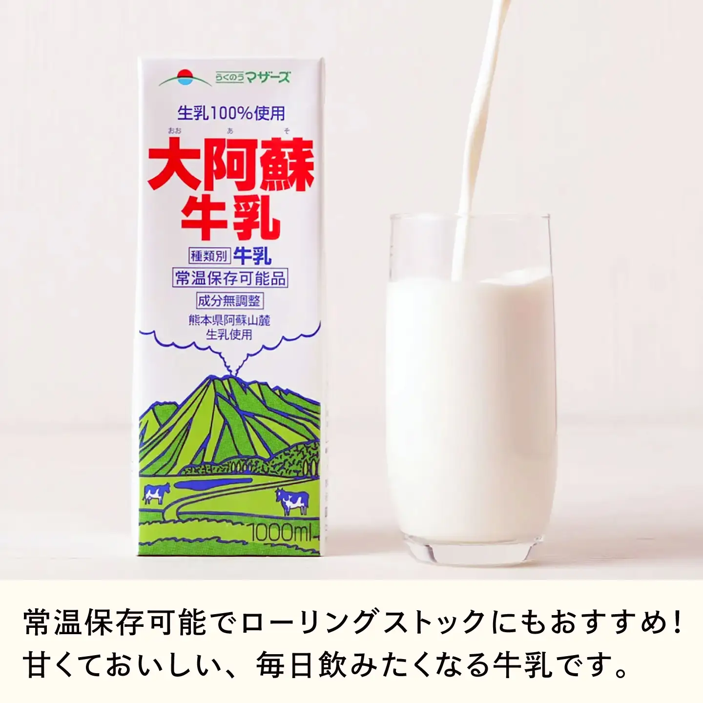 【全12回定期便】大阿蘇 牛乳 1000ml 紙パック 6本入 牛乳 BHBY026