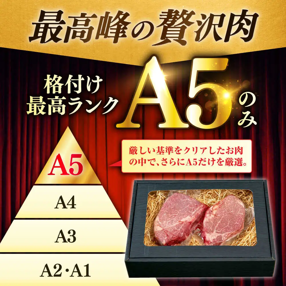 佐賀牛 赤身 A5 ヒレステーキ  400g ヒレ[FDR001]