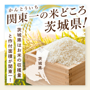 【数量限定】【令和7年産】茨城県産こしひかり 5kg（茨城県共通返礼品/城里町）（IH-6249）