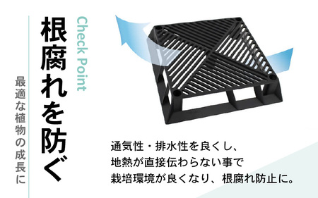 【カーメン君×daim コラボ】daim ブラックベース 24cm 10個入 8号鉢まで対応（園芸用鉢スタンド）【家庭菜園 園芸 ガーデニング ガーデニンググッズ 園芸用品 鉢 植木鉢 鉢置き 鉢台 スタンド 観葉植物 スタンド ベランダ ユーチューバー コラボ】 [B-18410]