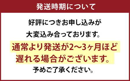 三徳包丁 手打ち包丁 鍛造刃物 伝統工芸品 ナイフ キッチン 