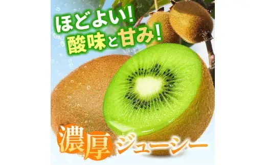 厳選 キウイ フルーツ 0.5kg+250g（傷み補償分） / キウイフルーツ 高級 和歌山 ※2026年11月中旬より2027年4月下旬頃順次発送予定 ※北海道・沖縄・離島への配送不可 【ikd505-p-0d5A】