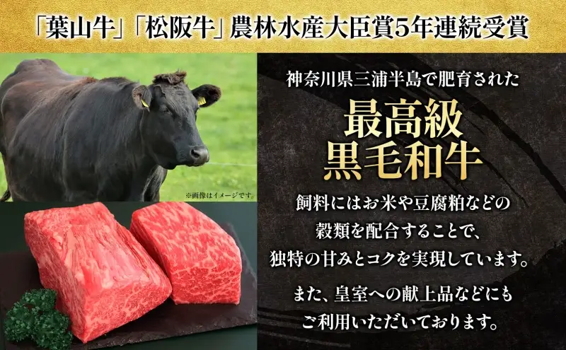 ハンバーグ葉山牛入り冨士屋牛肉店黒毛和牛ハンバーグ【150g×8個計1200g】【冷凍】