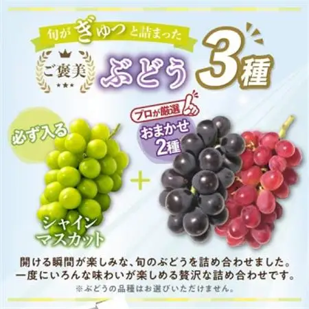 2026年発送  朝もぎ直送!!過保護に育った葡萄ぶどう『おまかせ3種』3～6房(約2kg)【配送不可地域：離島】【1643715】
