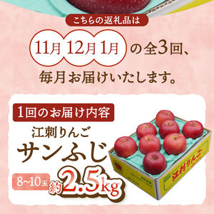 奥州市りんご定期便 ・3回(11月~翌年1月)江刺りんご「サンふじ」 約2.5kg(8-10玉) [AQ096]