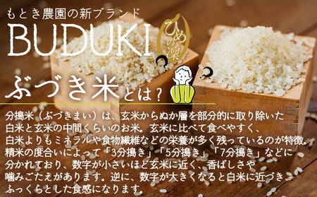＜分搗米「BUDUKI」ひめの凜 「7ぶづき」2合入り×3個（900g）＞ ひめのりん 分づき米 ぶづき米 ぶずき米 お米 コメ こめ 選べる 7分づき 玄米 精米 ご飯 もとき農園 愛媛県 西予市【常温】『令和7年11月中旬より順次発送予定』UMK0006