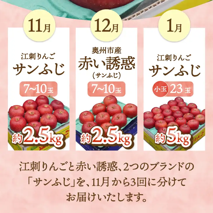 奥州市りんご定期便 ・3回(11月~翌年1月) 奥州市産「サンふじ」 [AQ097]