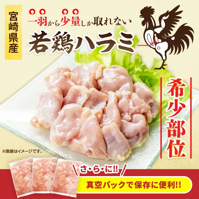 希少部位 宮崎県産 若鶏 ハラミ 計3kg 鶏肉 とり 鳥 国産 小分け 真空パック おかず お弁当 おつまみ 食品 チキン 簡単調理 鶏飯 焼き鳥 焼肉 炒め物 揚げ物 唐揚げ チキンカレー おすすめ 贈り物 ギフト おすそ分け 冷凍 宮崎県 日南市 送料無料_CB107-25
