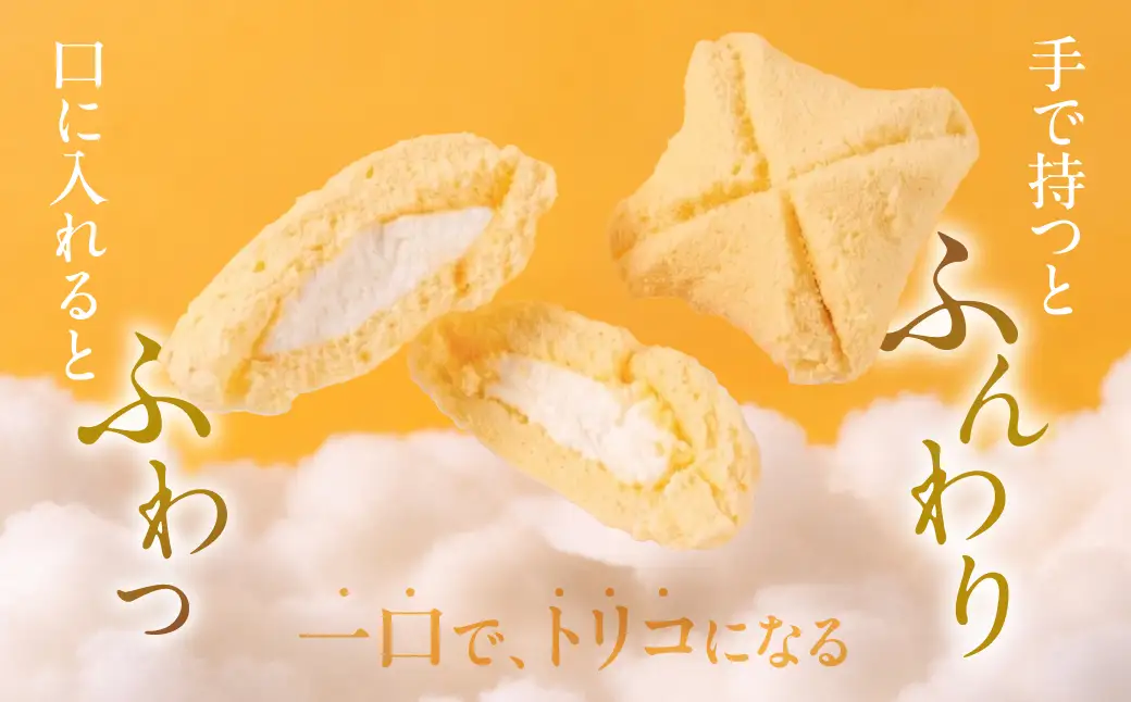 豊橋名物ピレーネ 【バニラ】 20個セット バニラ スイーツ スイーツ 