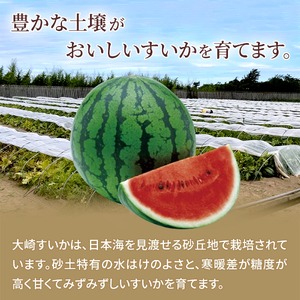 ＜2027年収穫分 先行予約＞大崎すいか 1箱（大2玉入り）| すいか 甘い