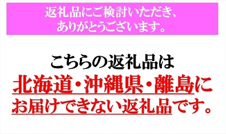 【期間限定】桃源郷の桃 約3kg（2026年8月1日～20日出荷／北海道・沖縄・離島は配送不可）完熟 もも モモ フルーツ 産地直送 旬彩 信州 長野 佐久市 品種指定なし 玉数指定なし