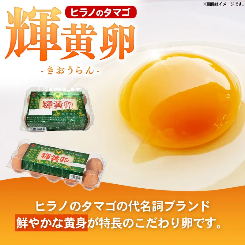【定期便3回】ヒラノのタマゴ 輝黄卵(きおうらん) 赤Mサイズ 180個 【 割れ保証込み 卵 たまご タマゴ 国産 新鮮 直送 定期便 3回 3ヵ月 輝黄卵 朝ごはん 卵かけごはん 福岡県 筑前町 AJ007】【202609】