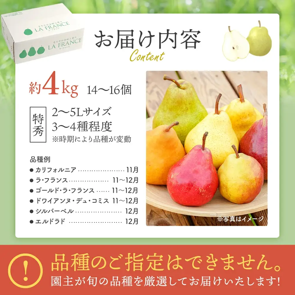 【先行予約】厳選 西洋梨詰合せ約4kg（14個～16個） 蔵王産　【04301-0150】
