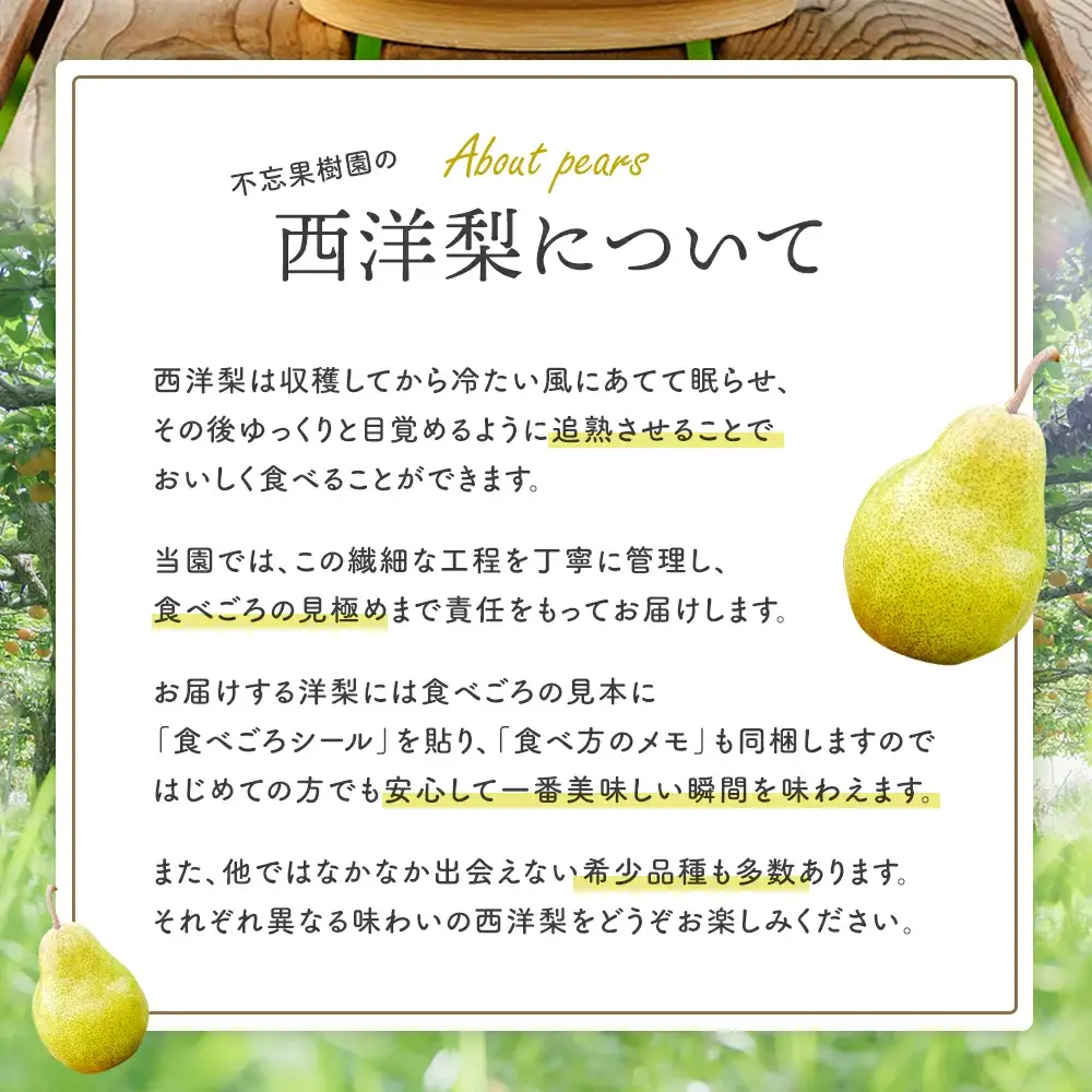 【先行予約】厳選 おいしいラ･フランス約4kg（14～18個） 蔵王産　【04301-0151】