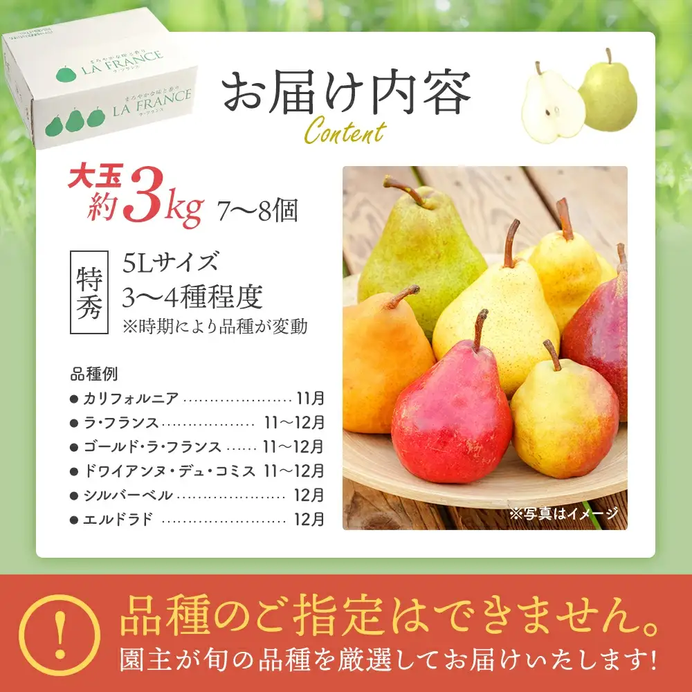 【先行予約】西洋梨詰合せ約2.5～3kg（7～8個） 蔵王産　【04301-0277】