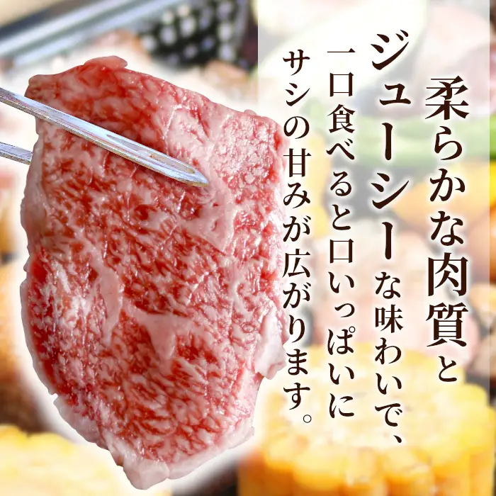 国産黒毛和牛 焼肉用（モモ・バラ）盛り合わせ 400ｇ 根羽こだわり和牛 焼肉 バラ肉 モモ肉  和牛 ＢＢＱ バーベキュー 10000円 