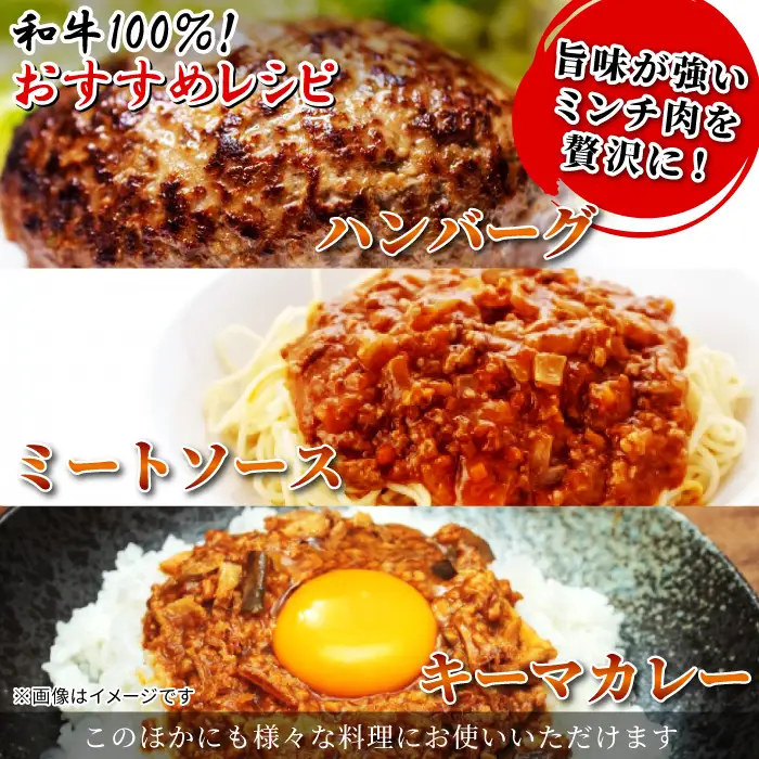 国産黒毛和牛 100% ミンチ 1㎏（500g×2）信州高原和牛 ハンバーグ カレー ミートソース パスタ ひき肉