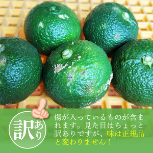 訳あり 青ゆず 生果実 約2kg_MM0207