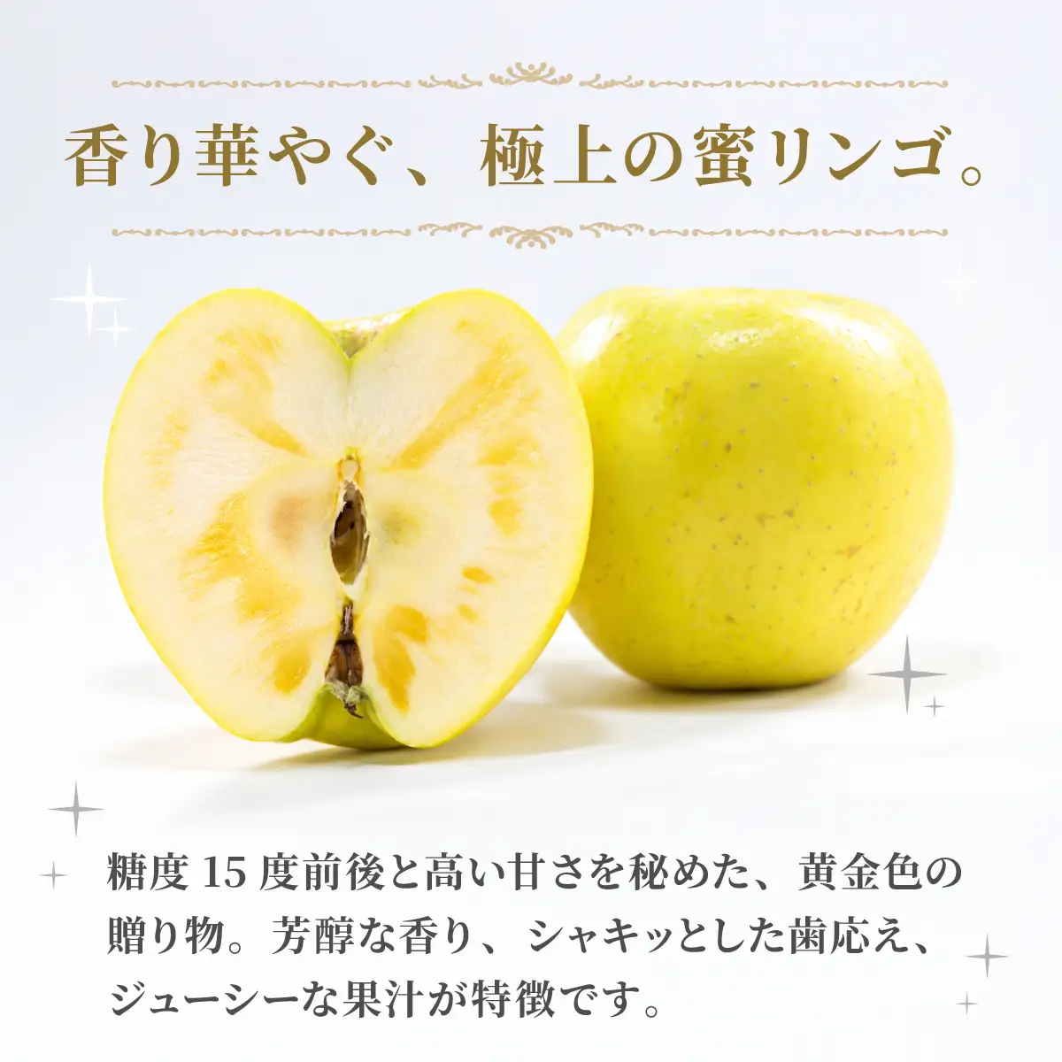 りんご ぐんま名月 5kg 人気のりんご