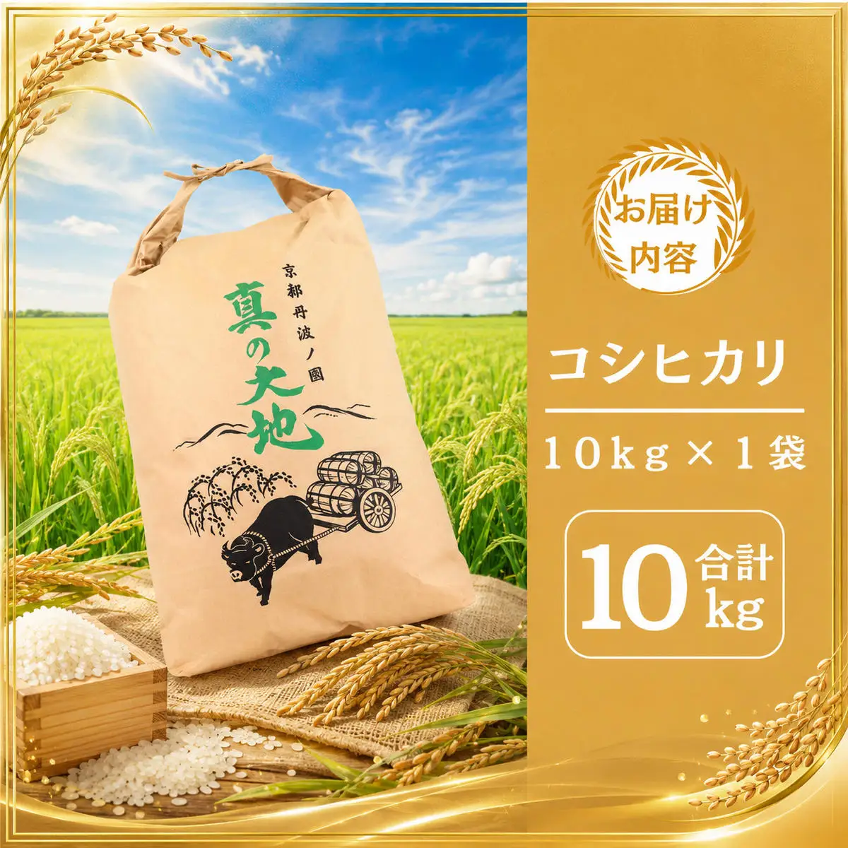 令和8年産 京都産コシヒカリ 10kg 令和8年産 京都丹波産 コシヒカリ 10kg 京都 丹波 お米 米 産地直送 令