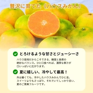 ハウスみかん 0.5kg+250g(傷み補償) 厳選/ ハウスミカン 温室みかん 有田みかん 甘い 訳あり 和歌山 柑橘 ※7月中旬～8月下旬に順次発送 ※北海道・沖縄・離島への配送不可 【ikd002-p-0d5A】