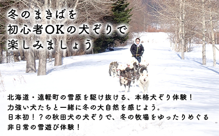 秋田犬の犬ぞりen01-00208