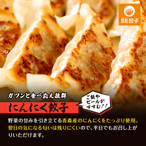 餃子 浜松餃子 88ぱちぱち 40個 食べ比べ 餃子