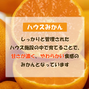 【順次発送中】訳あり ハウスみかん 約4kg | みかんみかんみかんみかんみかんみかん【VEG048】