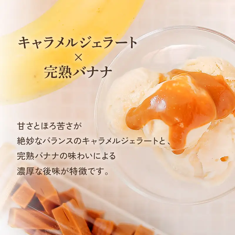 プロテインジェラート キャラメルバナナ 1Lバット【0121001】
