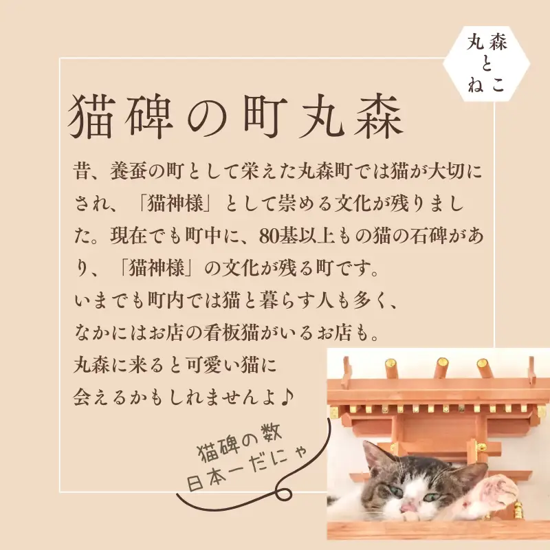 とらちゃんTシャツ×1枚（Lサイズ）【05124】