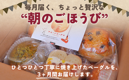 ＜季節のいろいろベーグルセット（おまかせ 8～10個）3ヶ月定期便＞ お楽しみ プレーン ショコラ 粒あん めんたいじゃがバター 苺 チーズ くるみ クッキー 抹茶 ブルーベリー  国産小麦 自家製酵母 マルーンベーグル 愛媛県 西予市【冷凍】『お申込み月の翌月より配送を開始します』UMB0003
