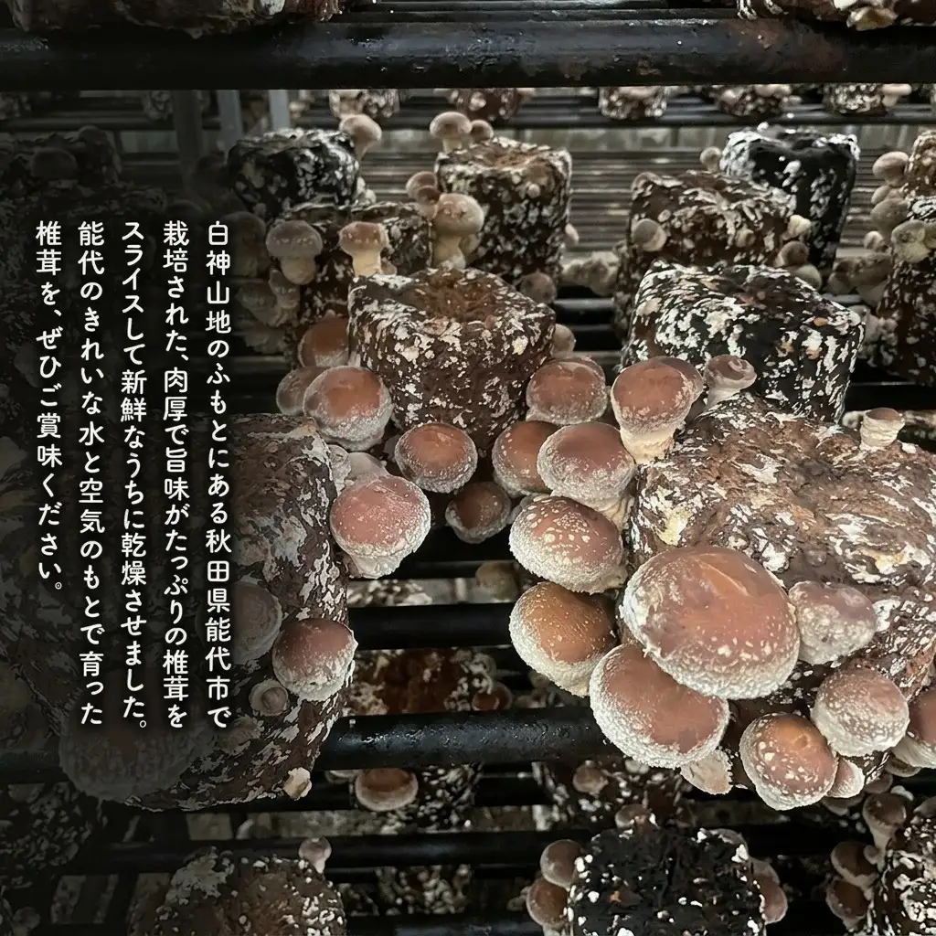 乾燥シイタケスライス 25g×3袋 秋田県産 しいたけ 椎茸 出汁 だし 乾物 