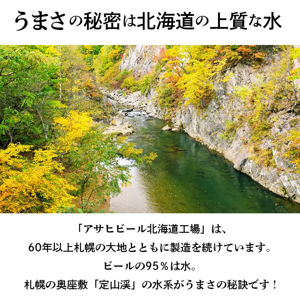 【定期便 9ヶ月】アサヒ オフ＜350ml＞24缶 1ケース 北海道工場製造