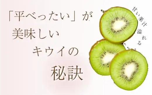 わけあり キウイ 5kg+250g（傷み補償分）扁平果 / 和歌山 家庭用 フルーツ 果物 くだもの ※2026年11月中旬より2027年4月下旬頃順次発送予定 ※北海道・沖縄・離島配送不可 【ikd505-c-5】
