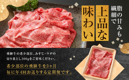 ちょっとリッチな飛騨牛（希少部位）【1月・4月・7月・10月発送】定期便 4回  | みすじ ウデ すき焼き しゃぶしゃぶ 定期便 FC108