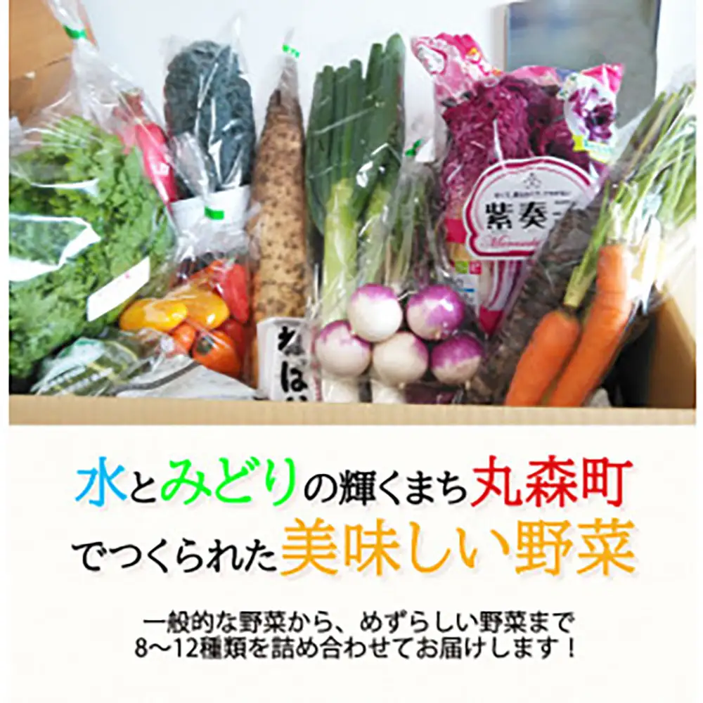 季節のおすすめ野菜おまかせ詰め合わせ3ヵ月定期便 8種～12種類【16103】