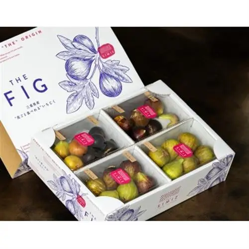 THE FIG ～皮ごと食べれるいちじく～　300g×4パックセット【配送不可地域：離島】【1644926】