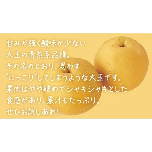 にっこり梨 約10kg (20～24玉)【2026年10月上旬発送開始】(茨城県共通返礼品：大子町)