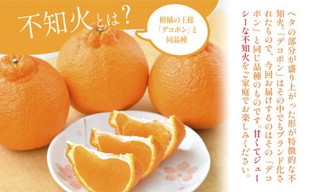 不知火 デコポン 同品種 約3kg 日本フルーツ株式会社 熊本県 荒尾市 《2月上旬-4月上旬頃出荷》 デコポン 果物 秀品 フルーツ スイーツ デザート ギフト ご贈答