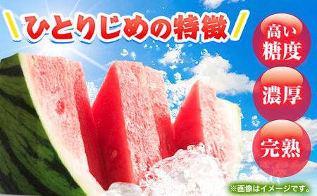 紀州和歌山産 小玉スイカ 「ひとりじめ」 1玉