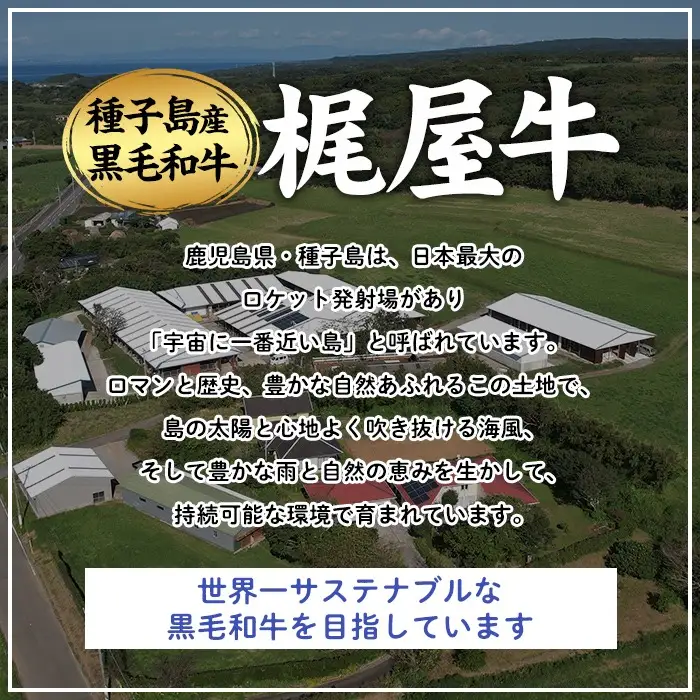 黒毛和牛 梶屋牛 冷凍 生 ハンバーグ 10個 【株式会社mulberry】n375