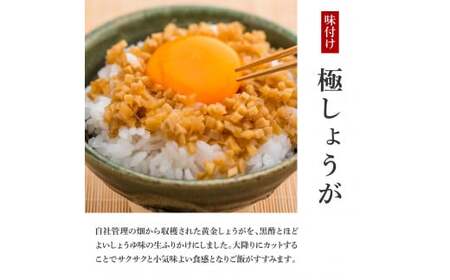 味付け極しょうが110g×1袋 
