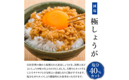 減塩味付け極しょうが110g×1袋  